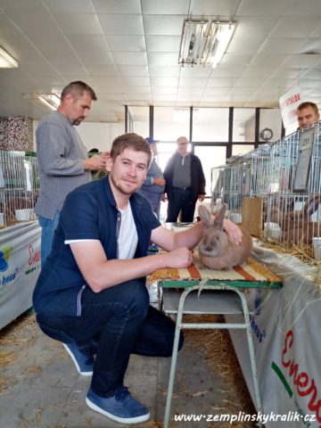 Zemplínský-králík_2019